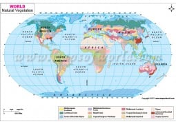 World Natural Vegetation Map - Digital File