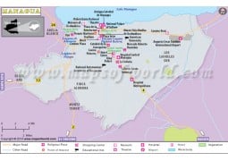Managua City Map - Digital File