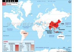 World Top Ten Most Rice Producing Countries Map - Digital File
