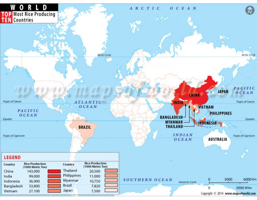 3 страны рис. Rice Map. Вьетнам и Бангладеш на карте. Global Rice Production of Countries. Countries by economic Theory Map.