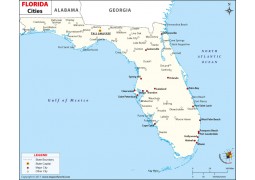 Florida Cities Map - Digital File