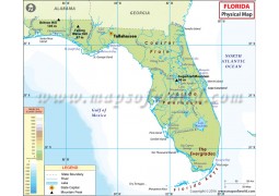 Physical Map of Florida - Digital File