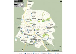 Salinas Map, California - Digital File