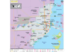 Miami City Map - Digital File