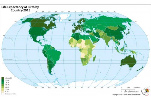Life Expectancy at Birth by Country-World Map