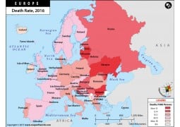 Europe Death Rate Map - Digital File