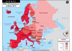 Europe Male Life Expectancy At Birth Map - Digital File
