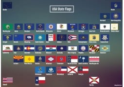 USA State Flags Map Poster  - Digital File