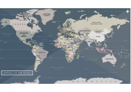 World Map Capitals Poster - Digital File