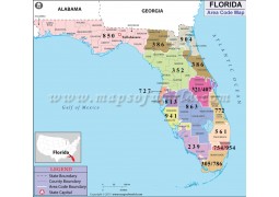 Florida Area Code Map - Digital File