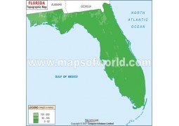 Florida Topographic Map - Digital File