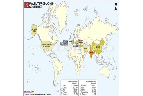 Top Ten Walnut Producing Countries Map