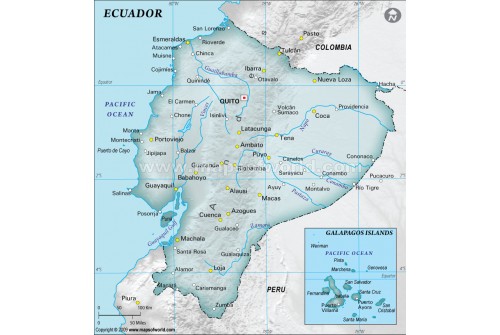Ecuador Physical Map, Gray
