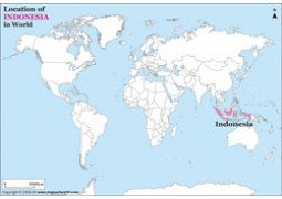 Indonesia Location on World Map - Digital File