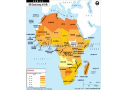 Life Expectancy at Birth in African Countries Map  - Digital File