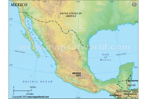 Mexico Blank Map, Green 