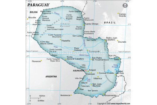 Paraguay Physical Map, Gray