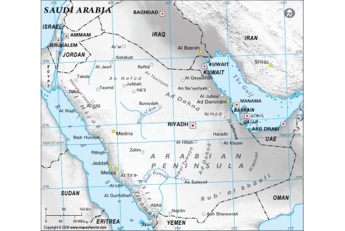 Saudi Arabia Physical Map with Cities in Gray Color