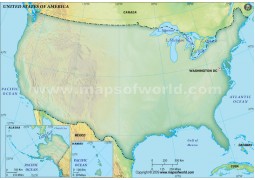US Blank Map, Dark Green - Digital File