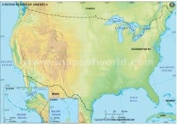 US Blank Map in Green Color - Digital File