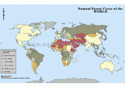 Map of World Natural Forest Cover - Digital File