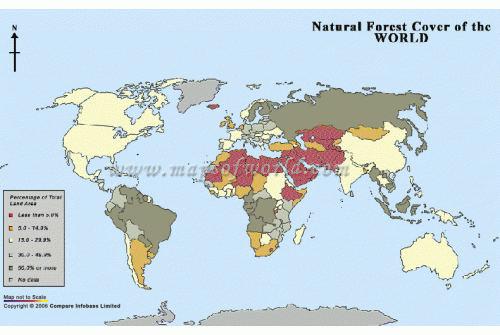 Map of World Natural Forest Cover