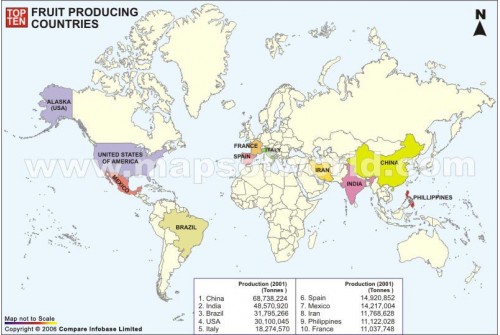 Top Ten Countries With Most Fruits Production