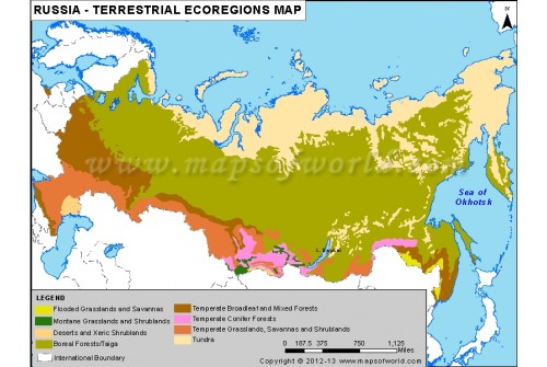 Russia Terrestrial Ecoregions Map