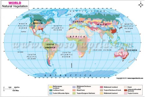World Natural Vegetation Map