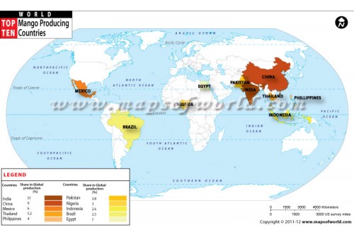 Top Mango Producing Countries of the World Map