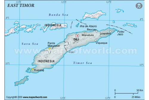 East Timor Physical Map, Gray