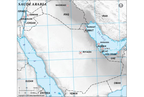 Saudi Arabia Blank Map in Gray Color