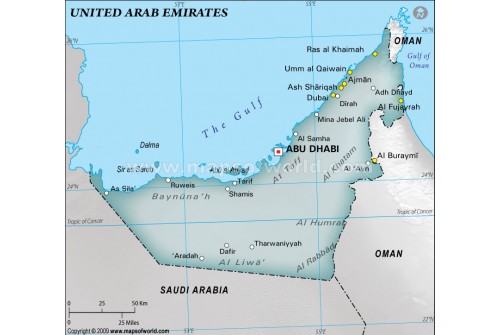 UAE Physical Map with Cities, Gray