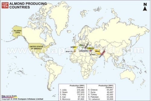 Top Ten Almond Producing Countries Map