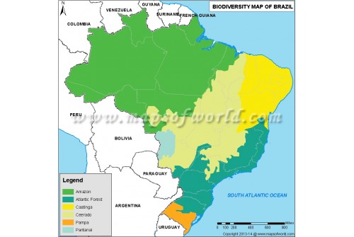 Brazil Biodiversity Map