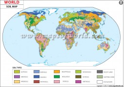 World Soil Map - Digital File